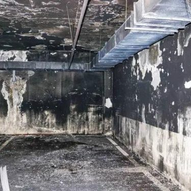 Affordable Professional Water Damage Restoration Services Available 24 7