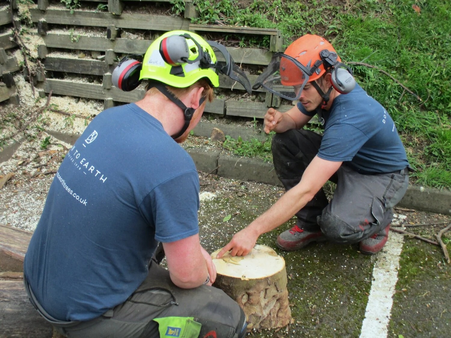 Trusted Local Support through tree surgeon Heald Green Tree Services