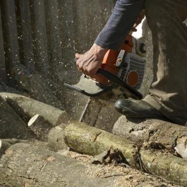 Tree Removal Service Mobile That Prioritizes Safety First